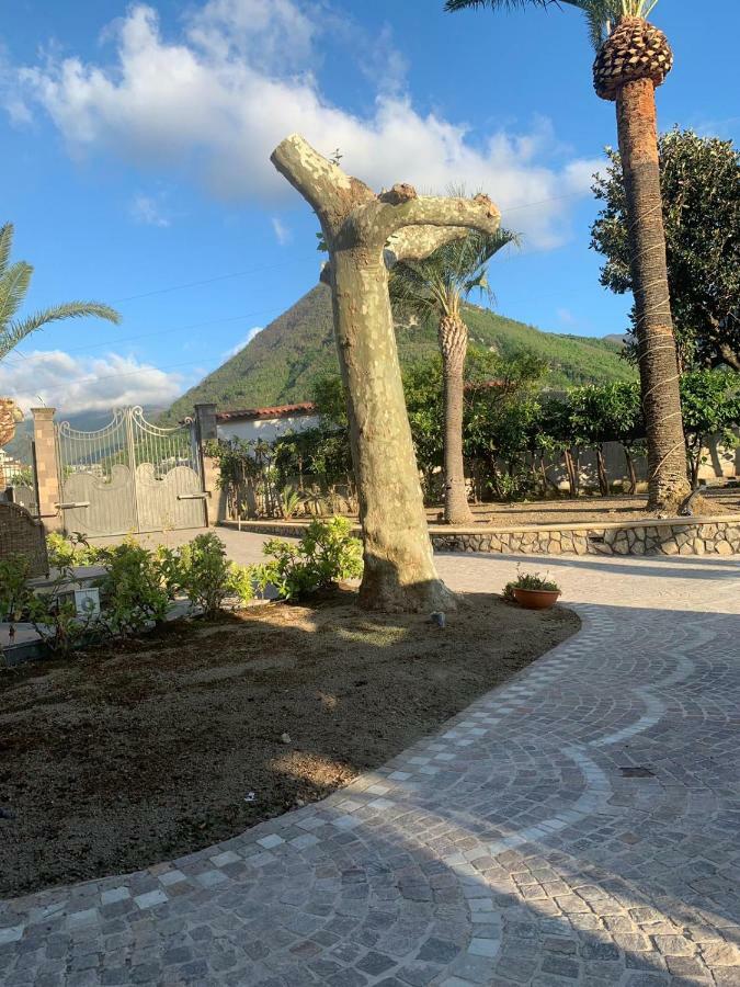 Villa Lucia Terrazza Panoramica 卡斯特拉玛雷帝斯达比亚 外观 照片